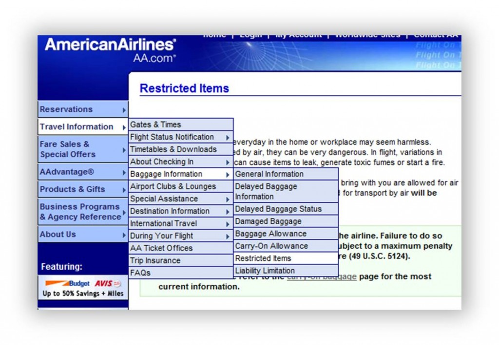 American Airlines flyout menu