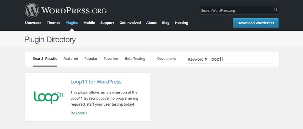 WordPress-9